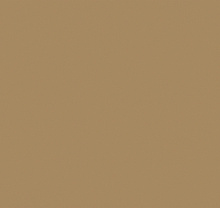 Однотонные коричневые обои (фон) Loymina Golden Library SAT3 005/1